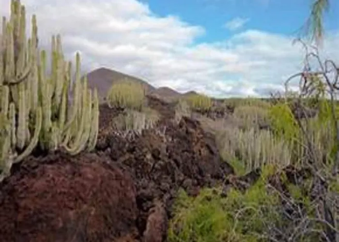 In Malpais De With A Terrace * Candelaria